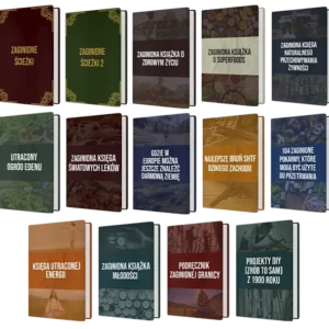 Pakiet Zaginionych Książek - 97